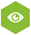 vision